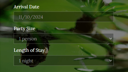 CASE STUDY | ALPINE&nbsp;GROVE